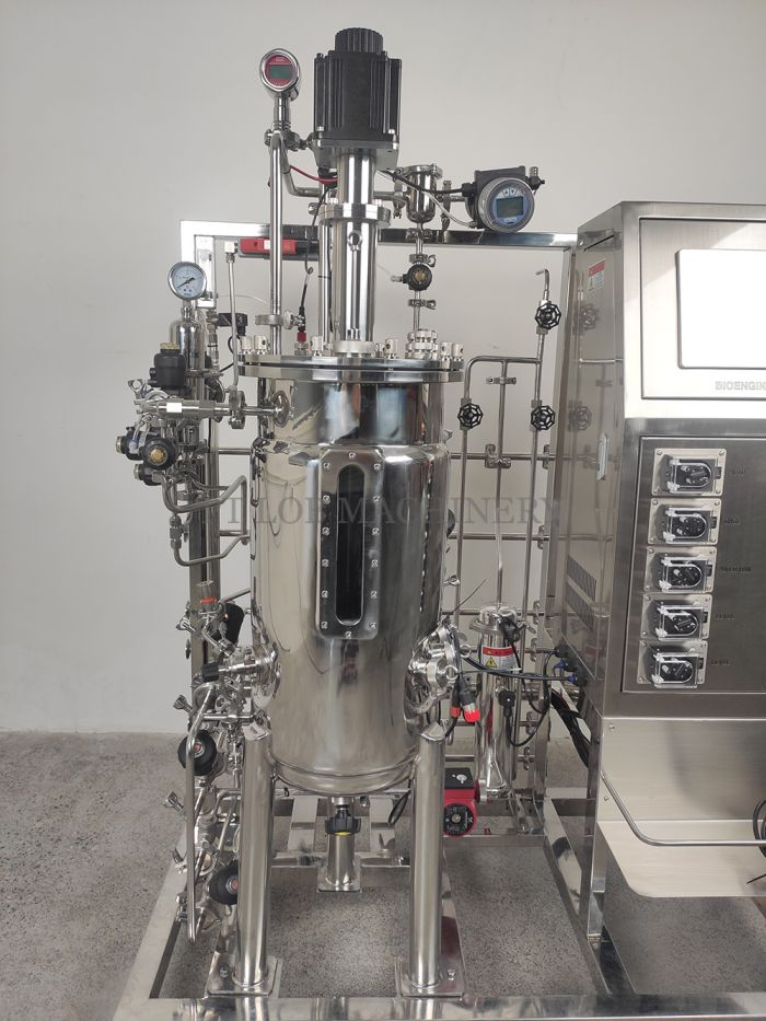 Bioreactor/ Bioreaktor fermentation tank