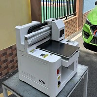 UV Printer/UV Printing